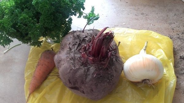 QUELQUES LEGUMES DE MON JARDIN