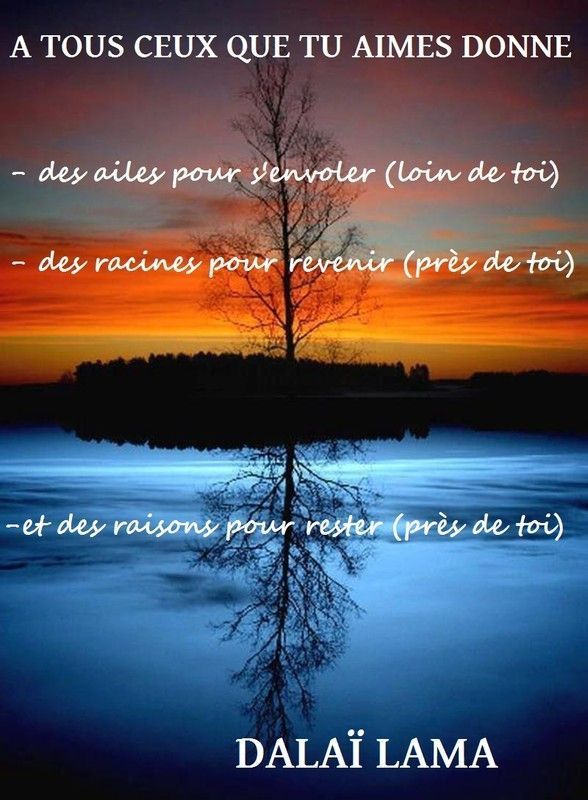 Tu Aimes Tu Aimes